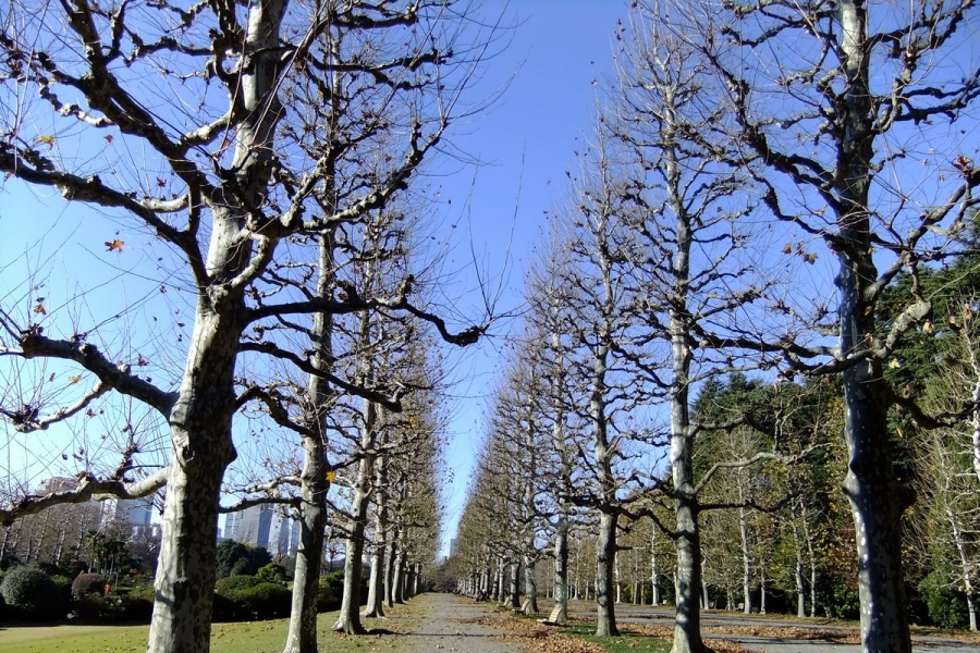 URJAPAN