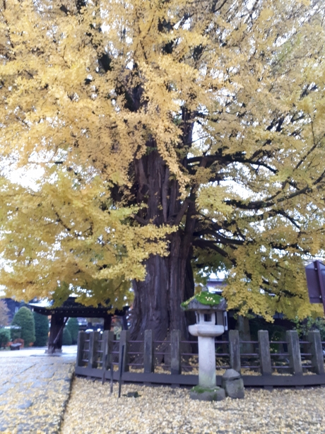 URJAPAN