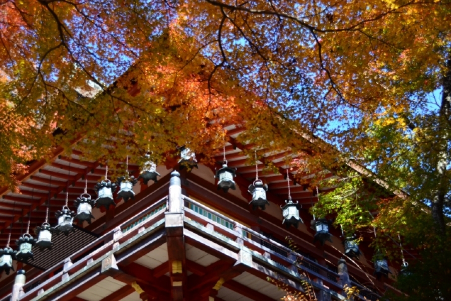 URJAPAN