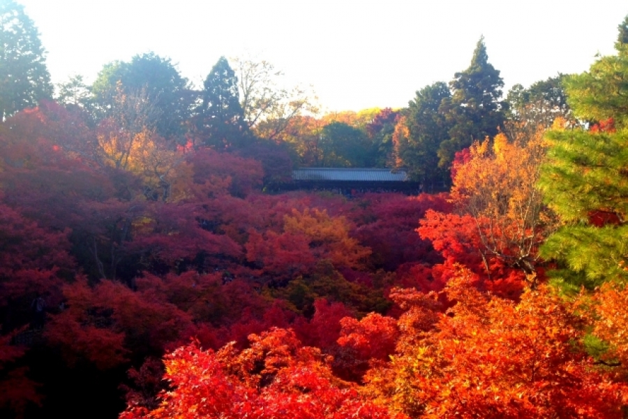 URJAPAN
