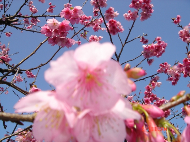 URJAPAN