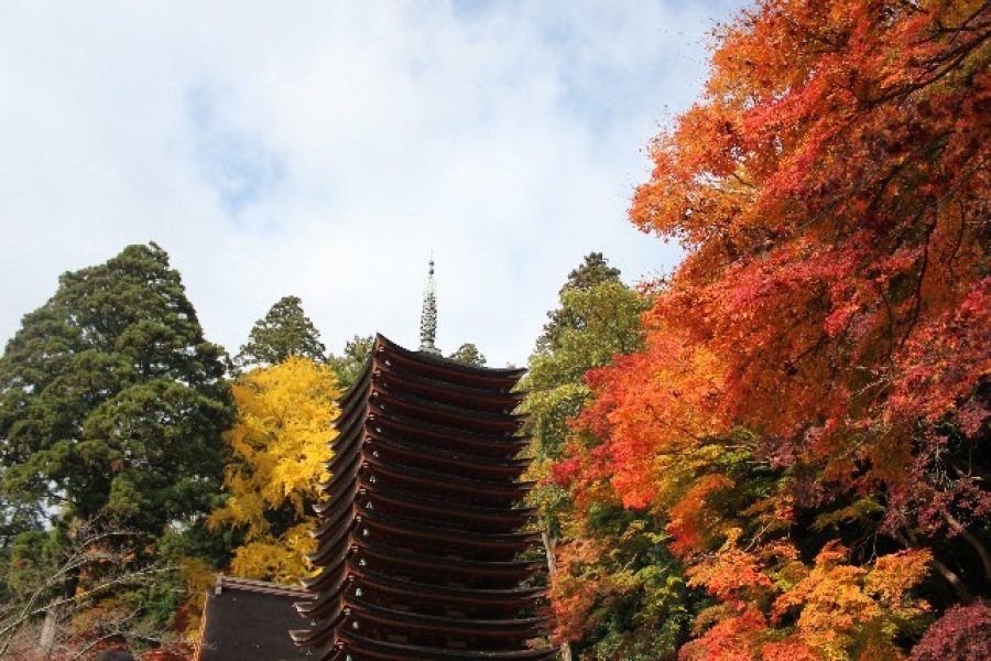 URJAPAN