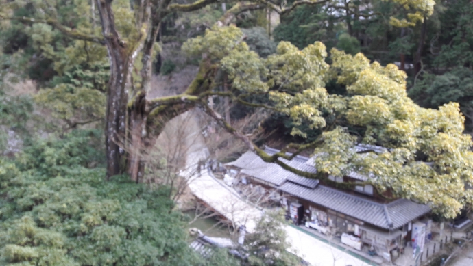 URJAPAN