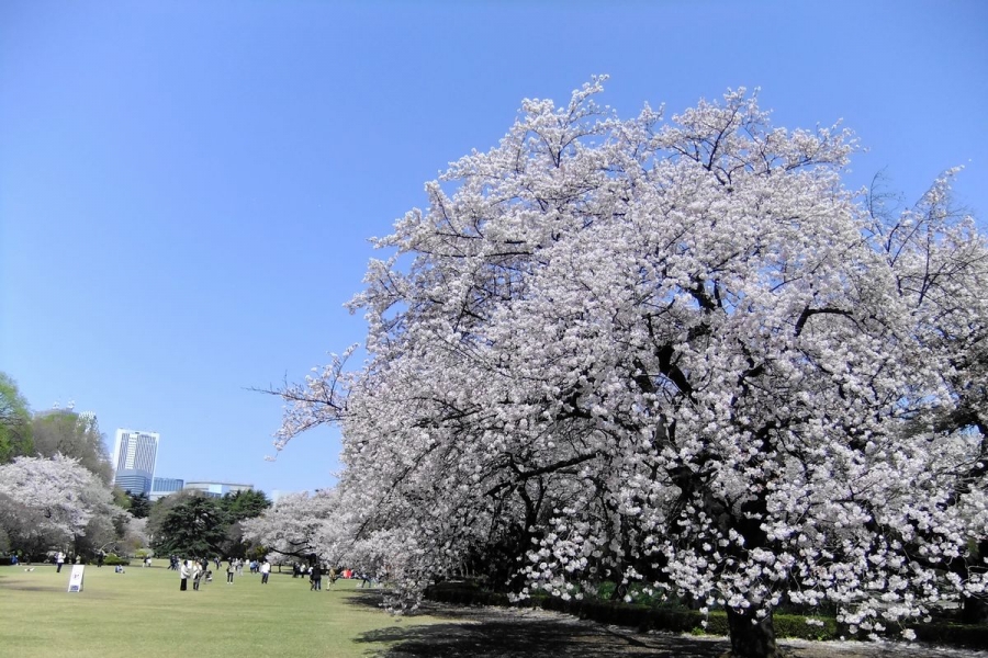 URJAPAN