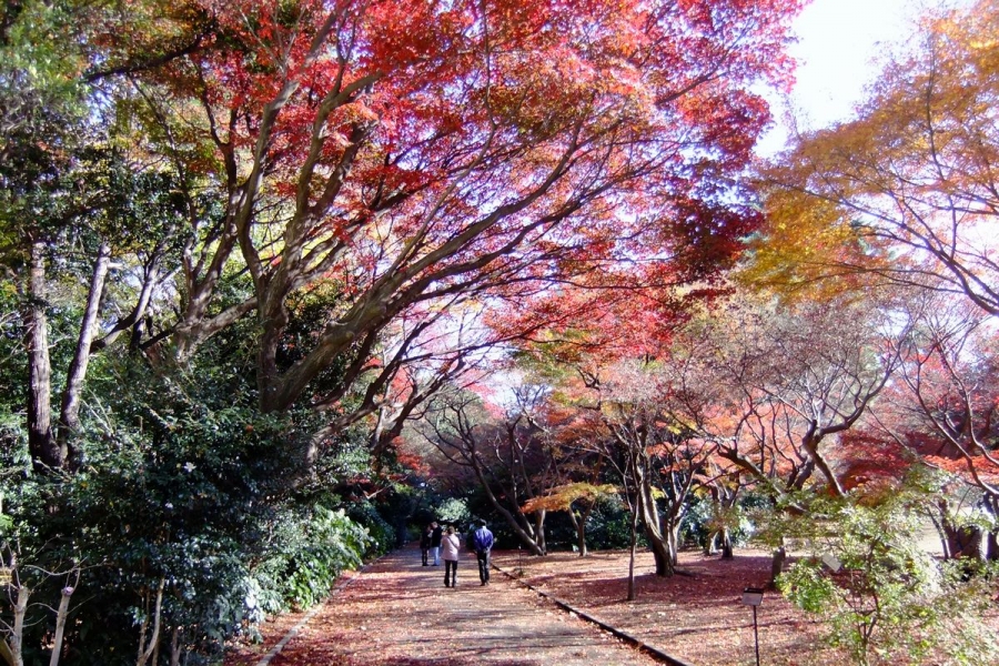 URJAPAN
