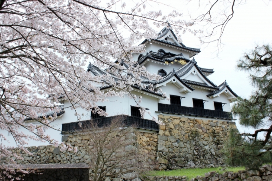 URJAPAN