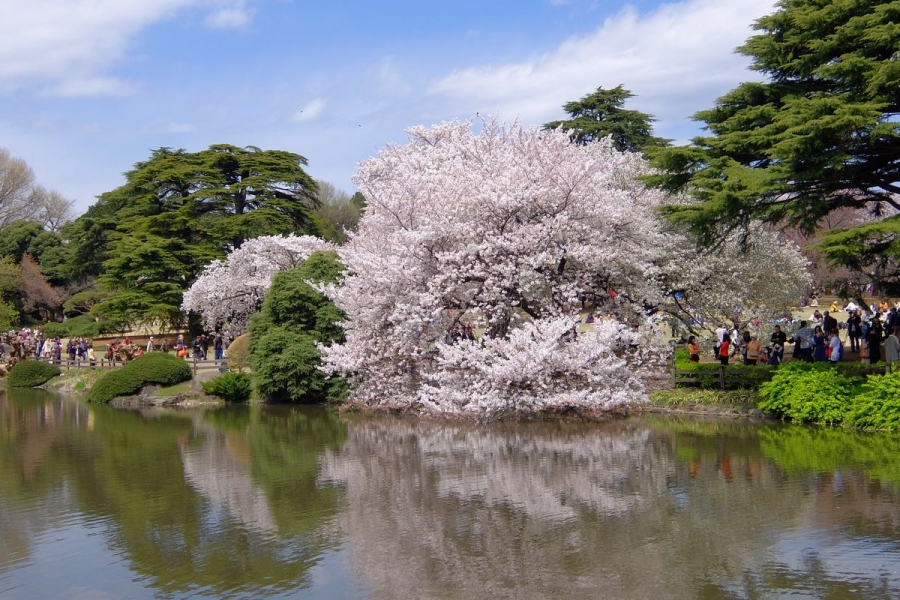 URJAPAN