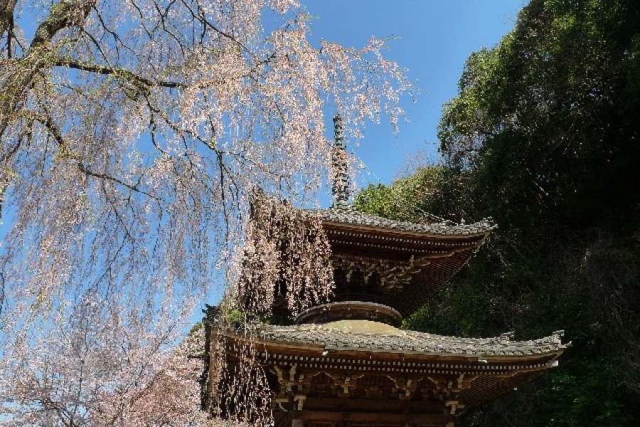 URJAPAN